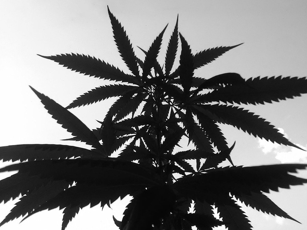 Photograph by Мария Причиненко