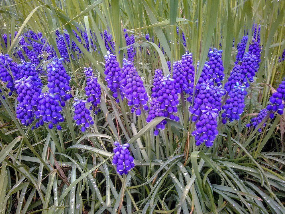 Photograph by Мария Причиненко