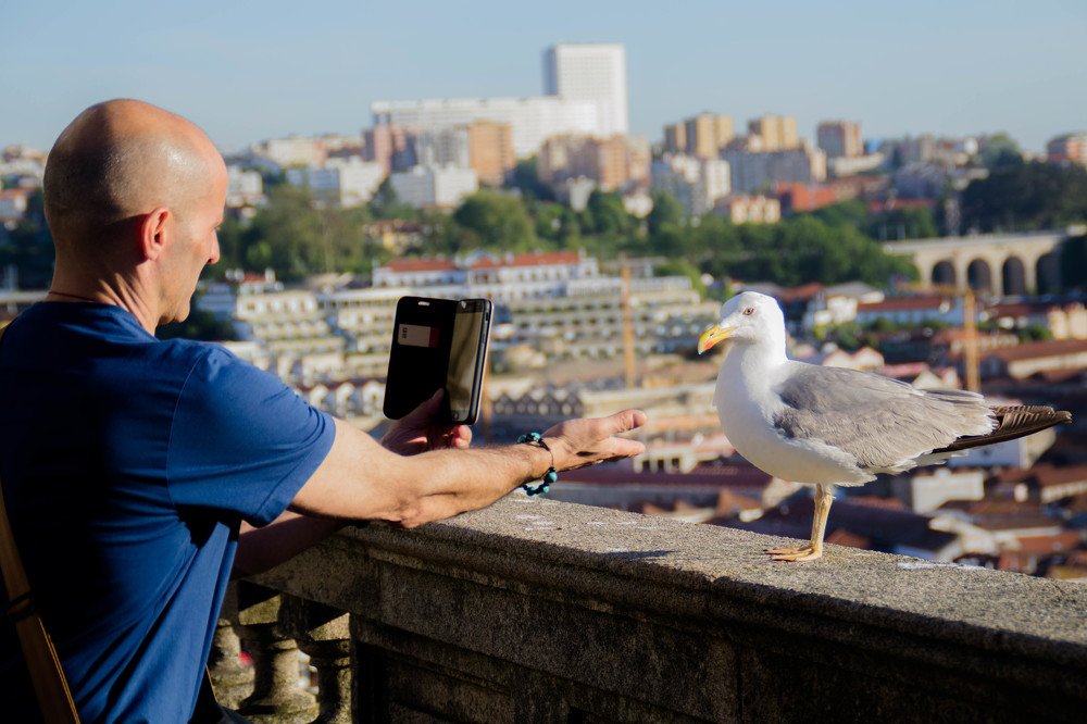 Photograph by Ирина Нагорная