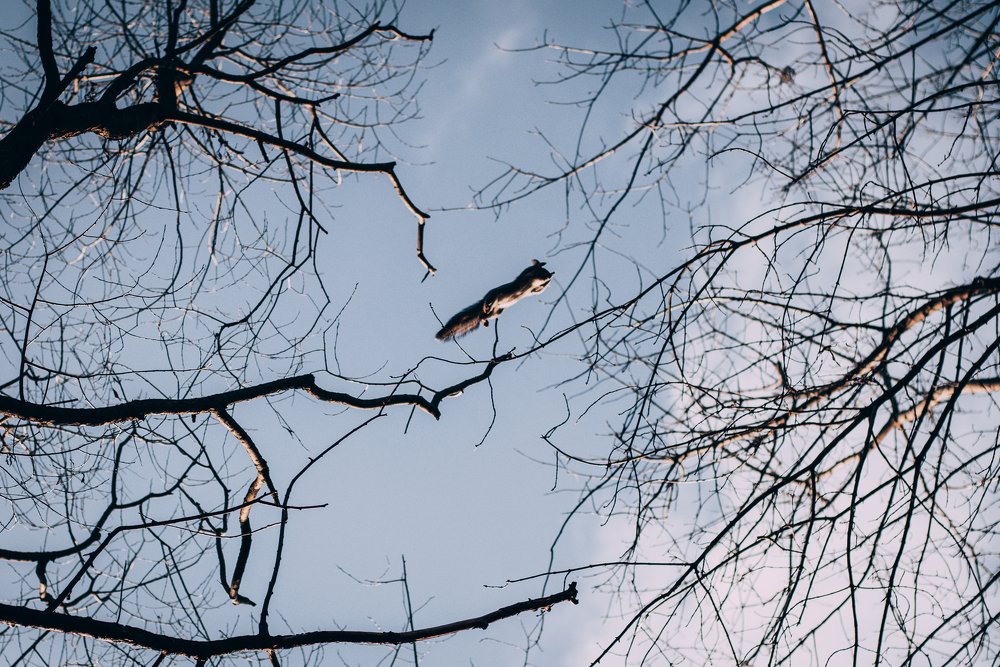 Photograph by Василиса Билуши