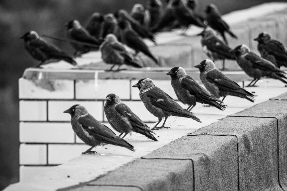 Photograph by Дмитрий Тимофеев