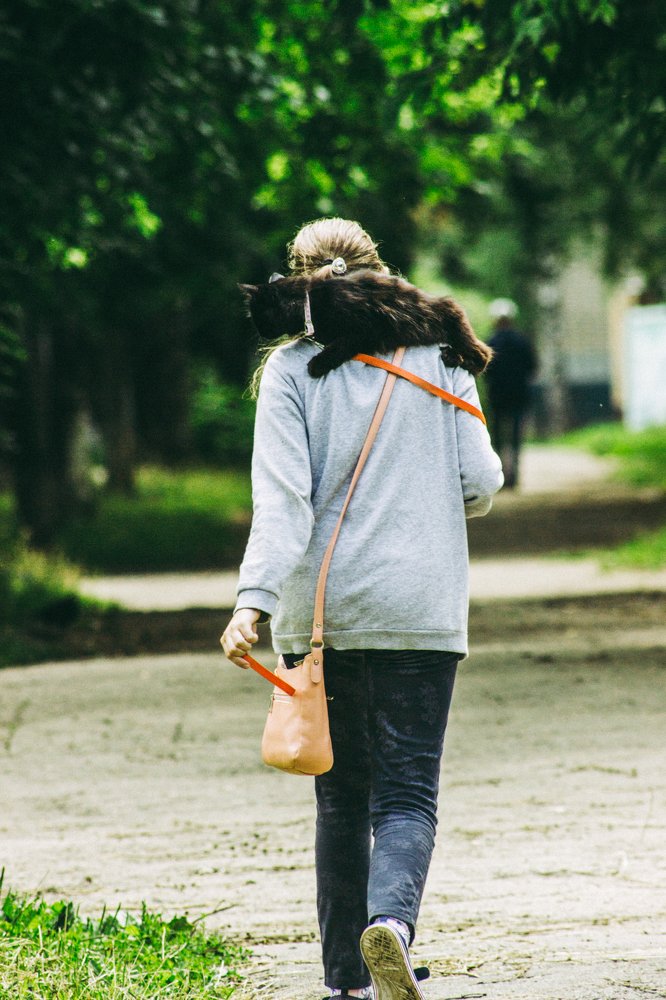 Photograph by Дмитрий Тимофеев