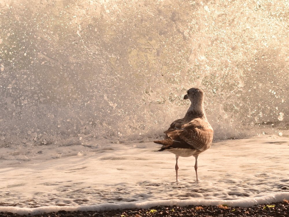 Photograph by Людмила Балаева