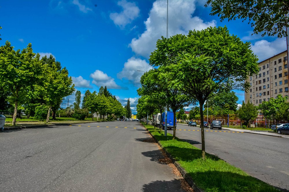 Фотография автора Nani Matua