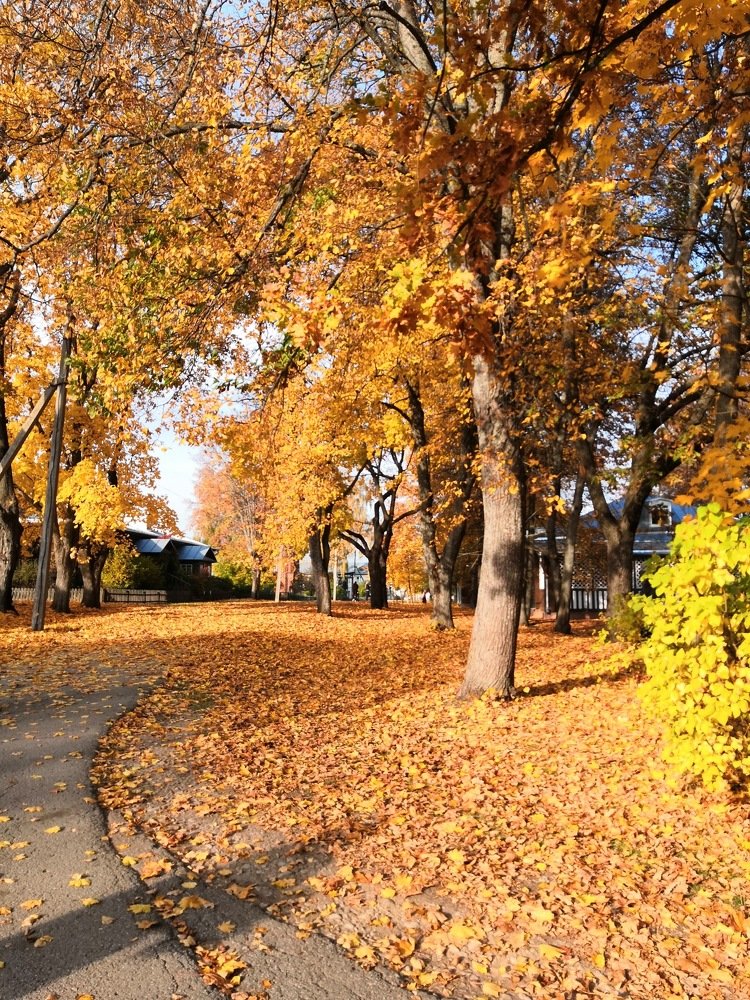 Photograph by Анна Голенева