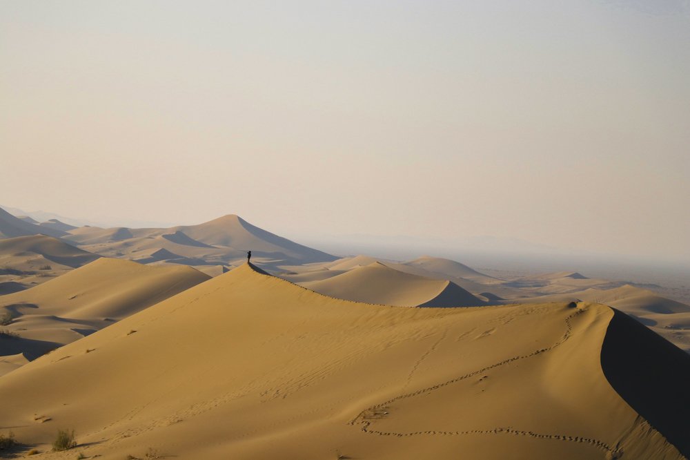 desert- little prince