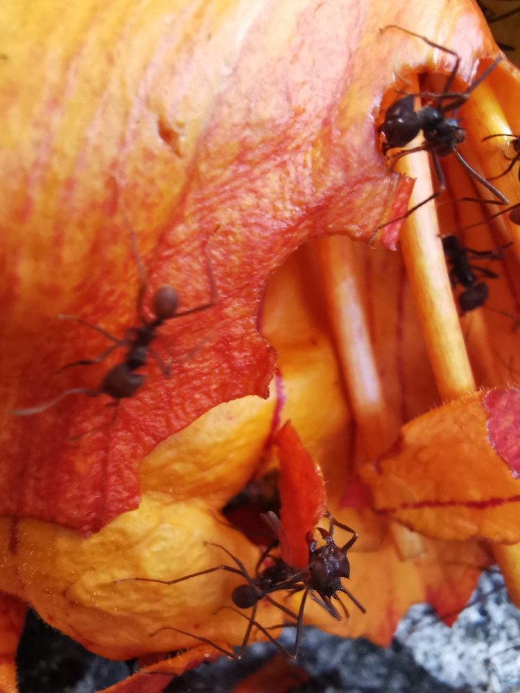 Photograph by Christian Giovanni Gio