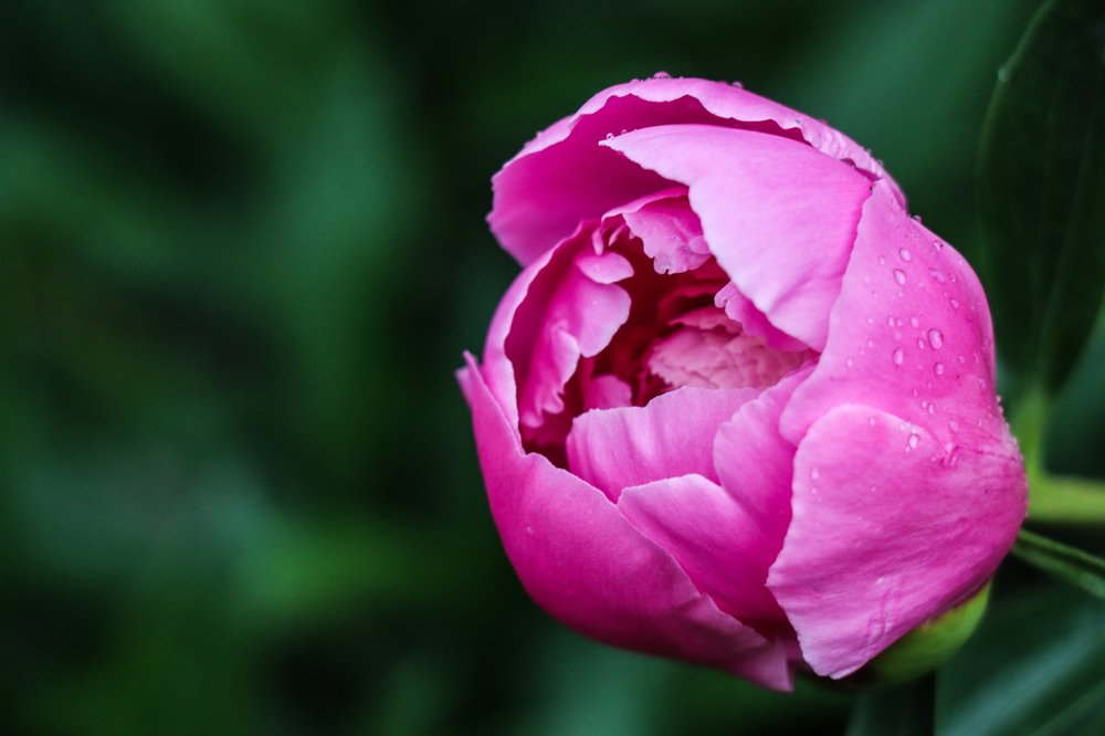 Photograph by Марина Тимакова