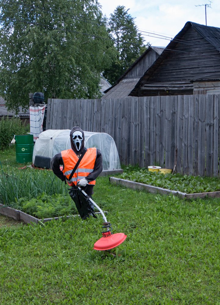 Photograph by Ольга Сафронова