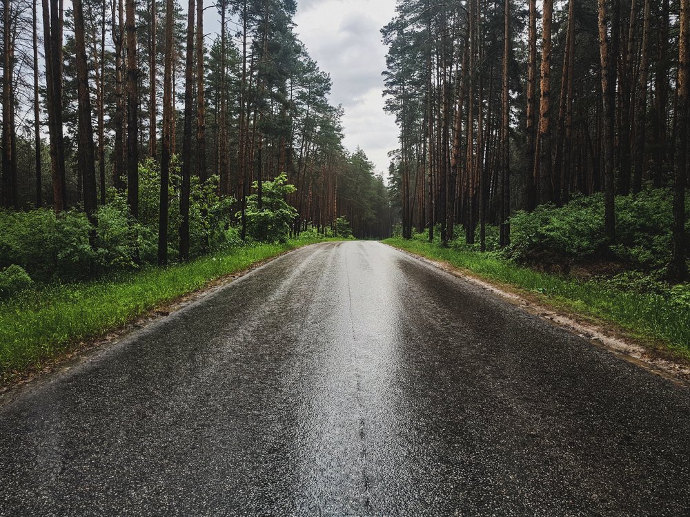 Photograph by Алексей Коренев