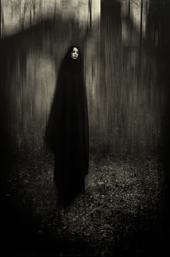 Фотография автора Владимир Щербина