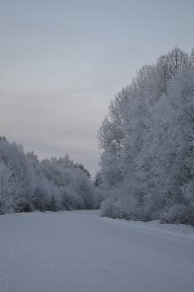 Зимняя дорога домой)