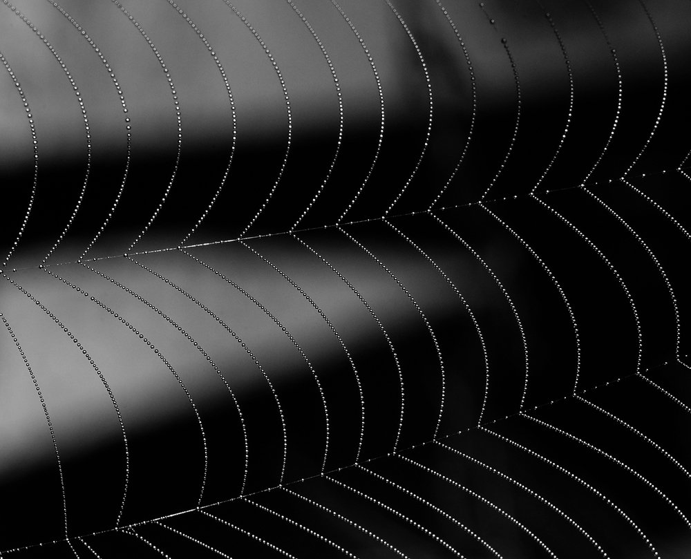 Кванты из космоса