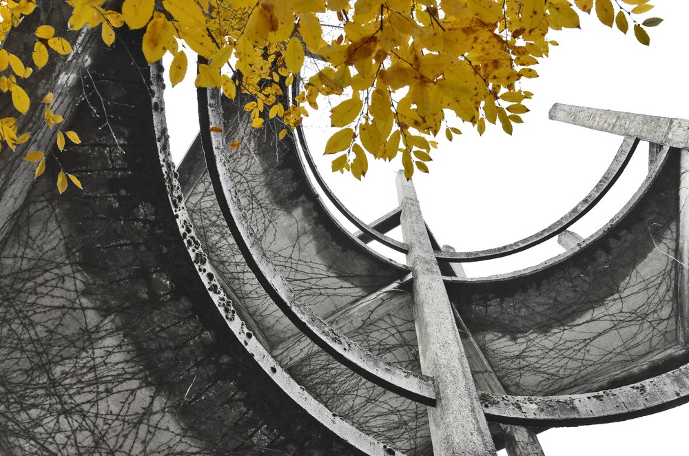 Photograph by maja zaplotnik