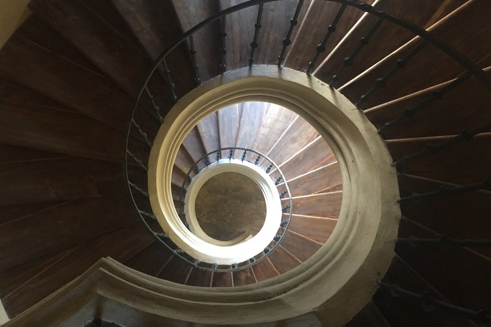 Фотография автора Светлана Саенко