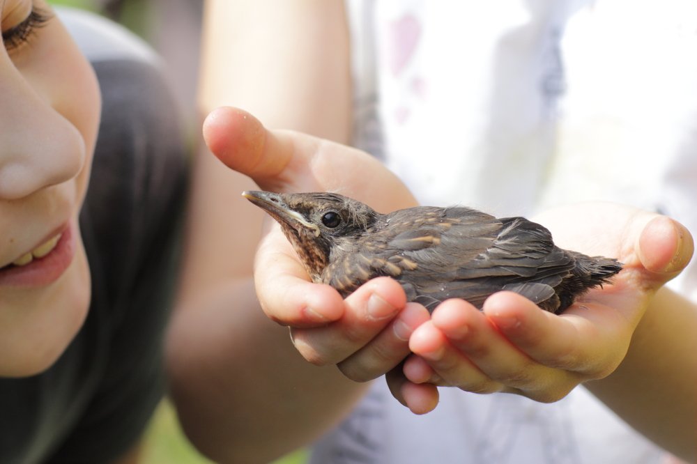 Фотография автора Светлана Саенко