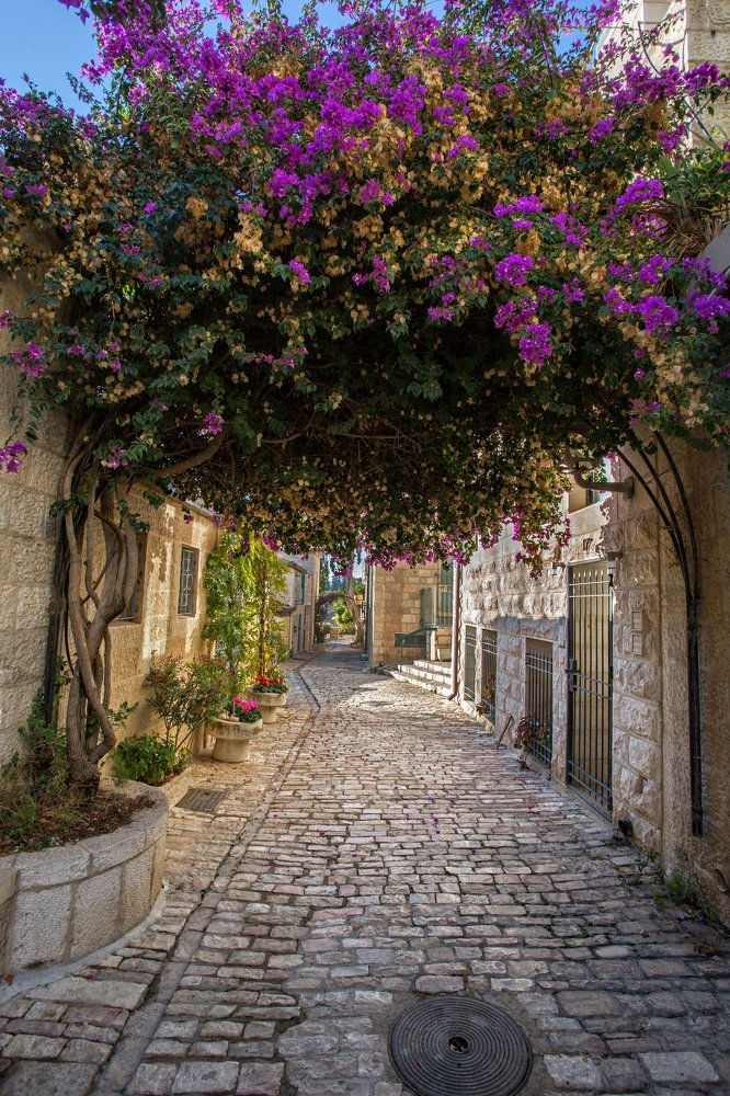 Иерусалим, Ямин Моше