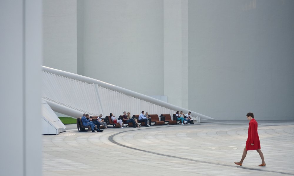 ИНТРОДУКЦИЯ