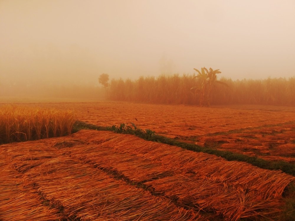 Photograph by Md Abu Sayeed Mondal