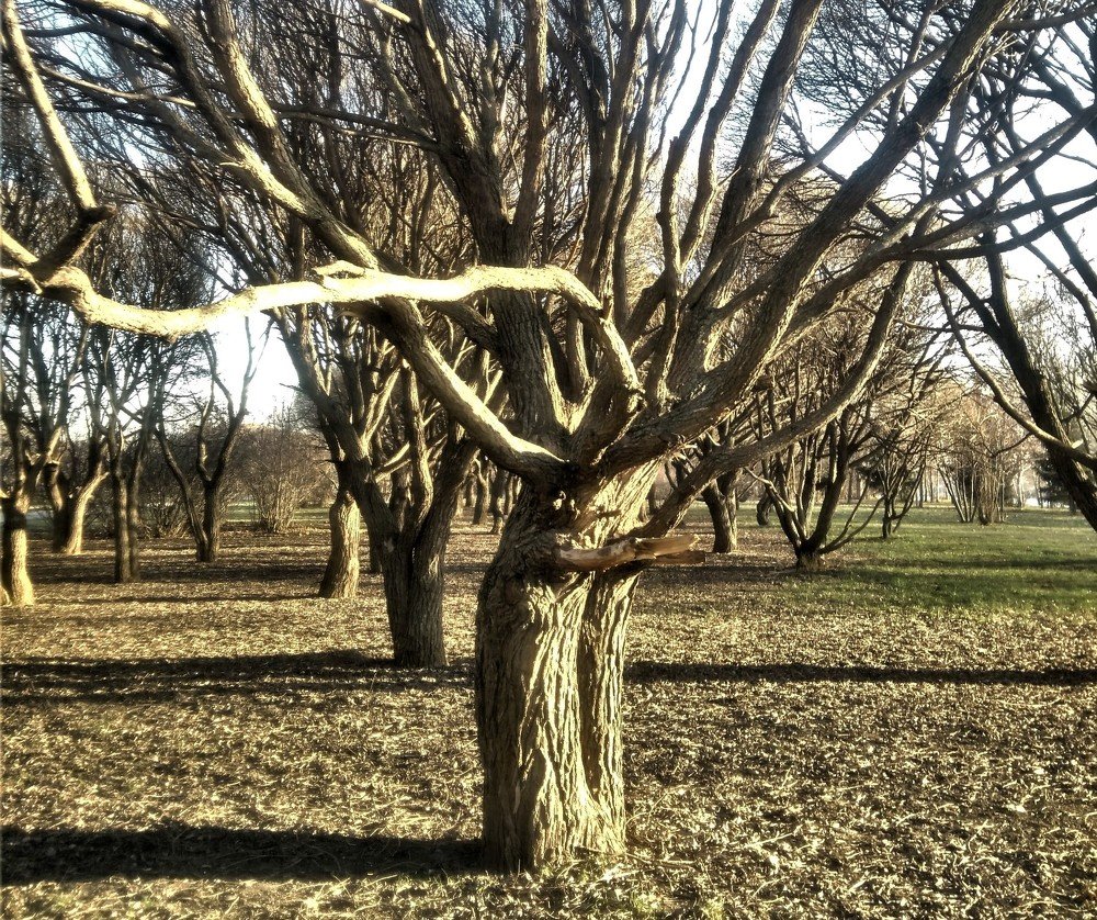 Photograph by Станислав Третьяков