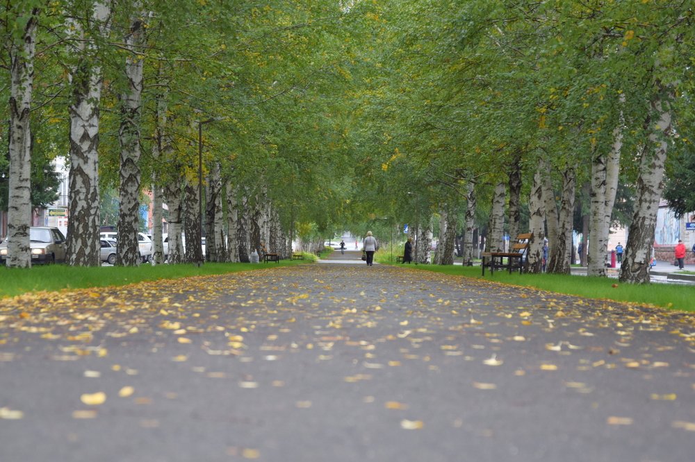 Photograph by Александр Староверов