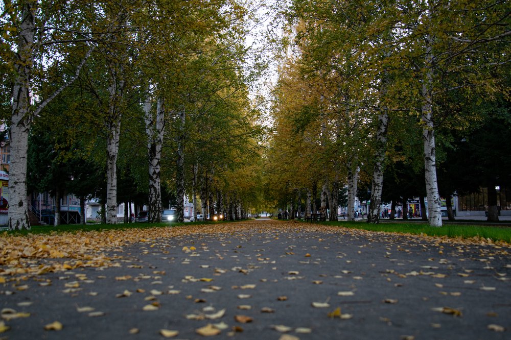 Photograph by Александр Староверов