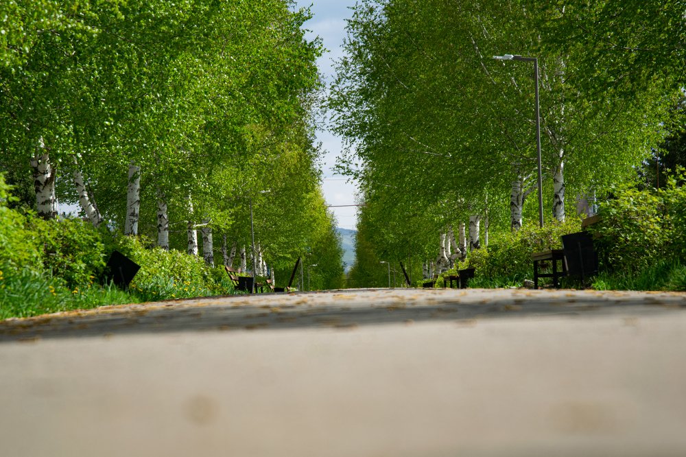 Photograph by Александр Староверов