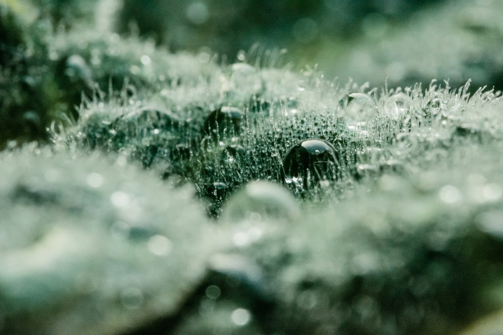 Красота в простоте