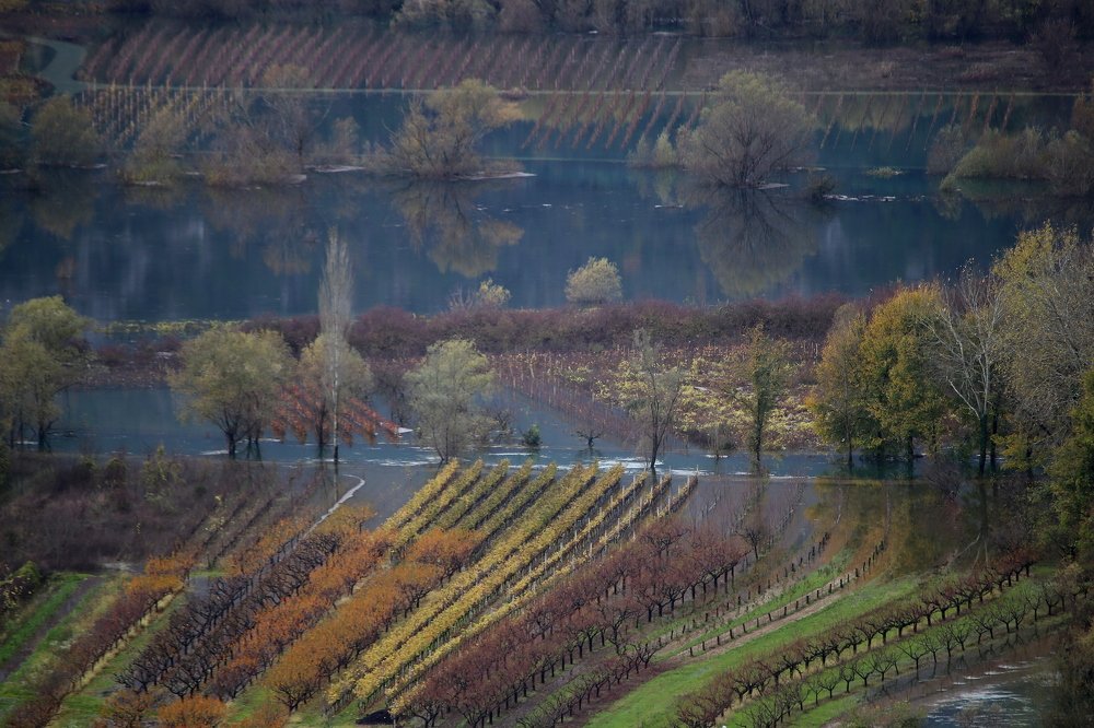 Photograph by Dzintra Zvagina