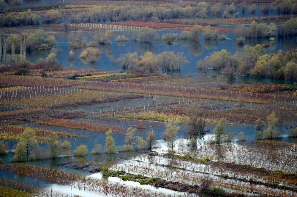 Photograph by Dzintra Zvagina