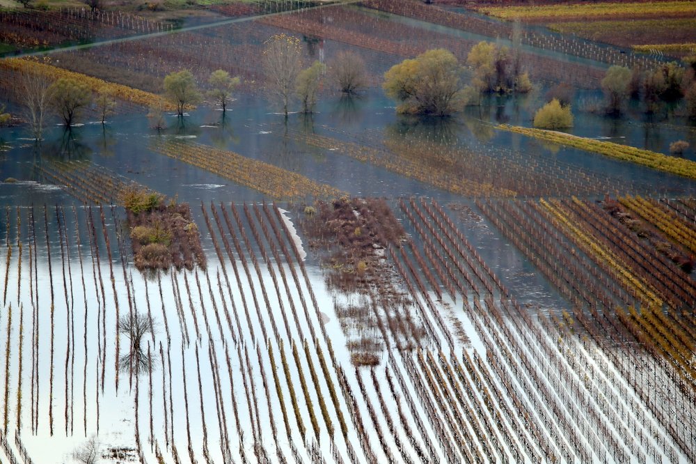 Photograph by Dzintra Zvagina