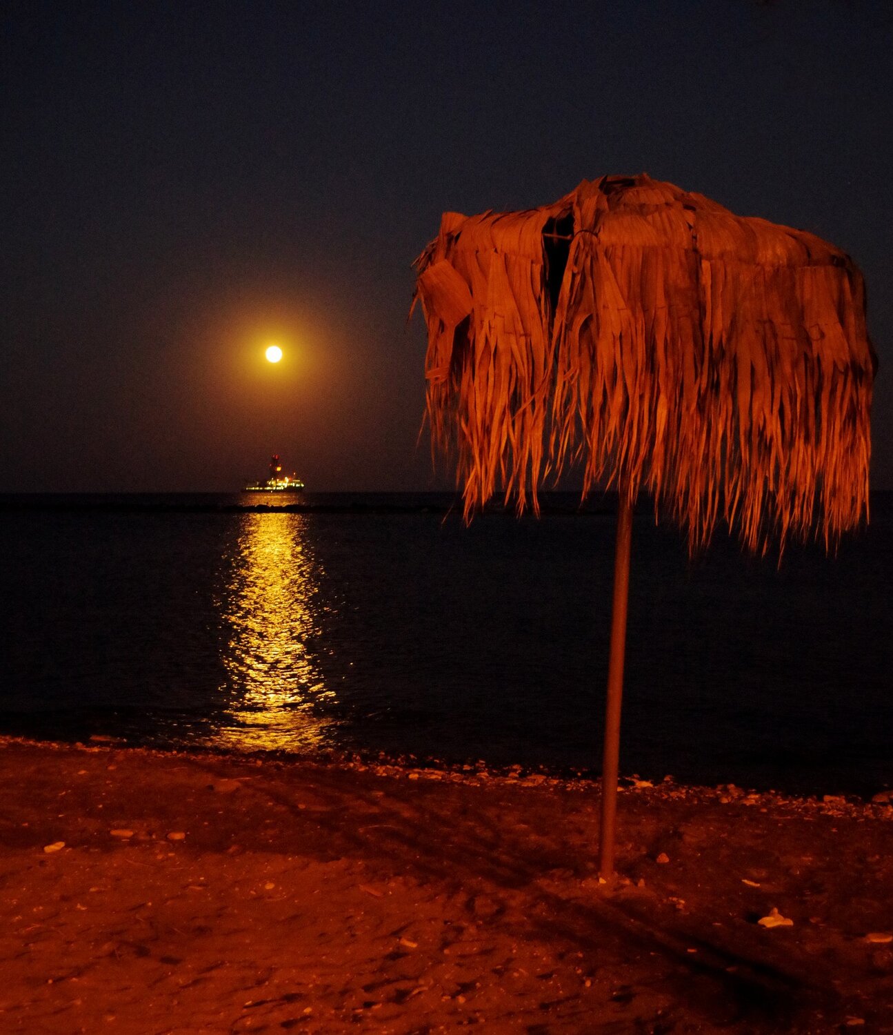 Photo #3943233
