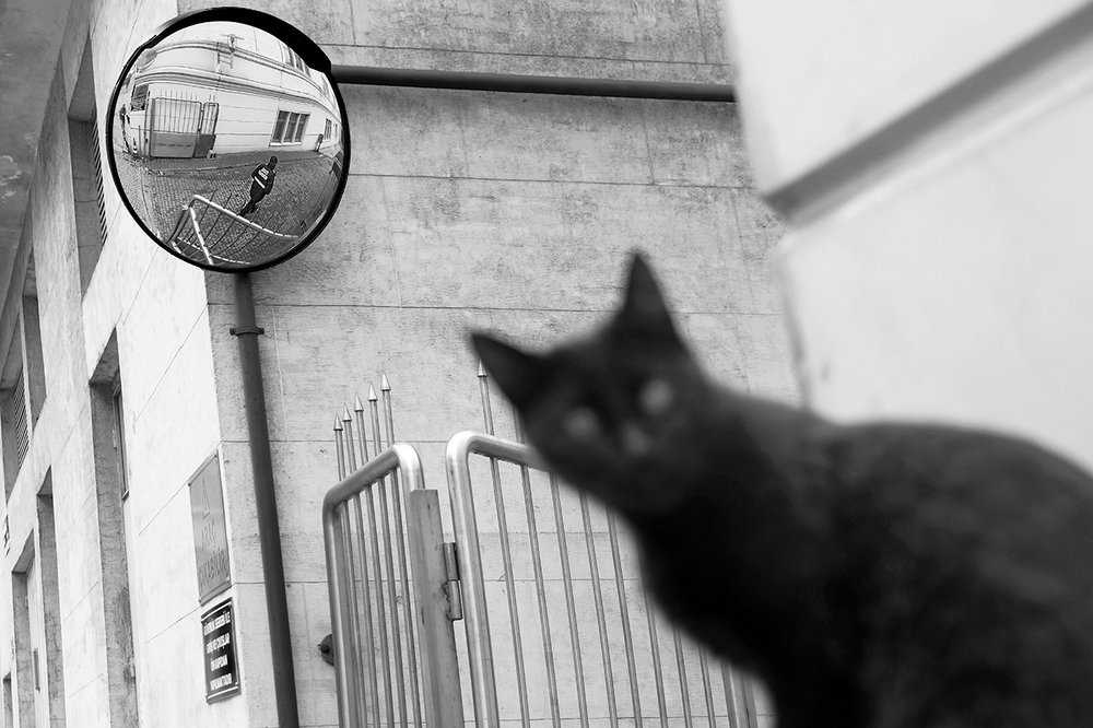 Photograph by Наталия Звиададзе