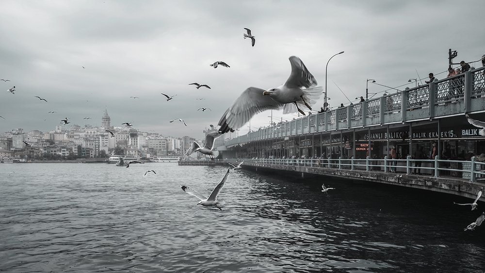 Photograph by Наталия Звиададзе