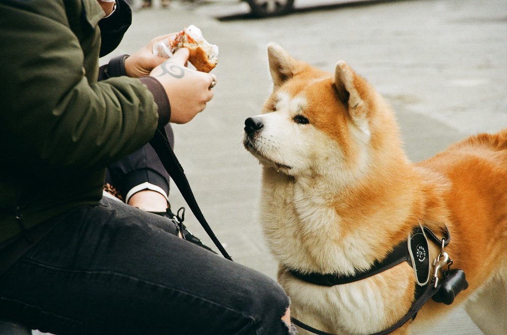 Photograph by Яна Федотова