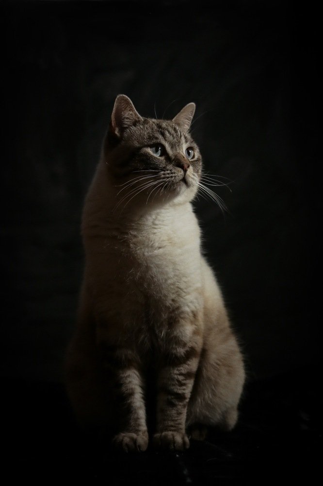 Photograph by Екатерина Михайлова