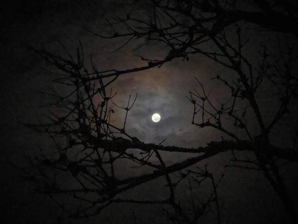 Полнолуние