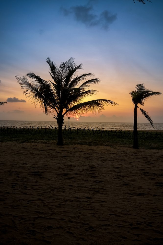 Photograph by Анопченко Ирина