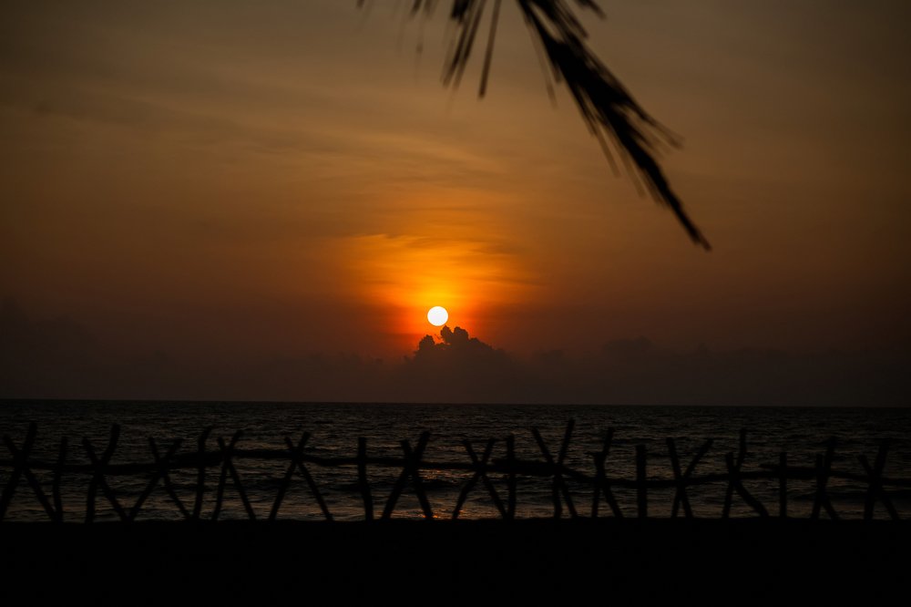 Photograph by Анопченко Ирина