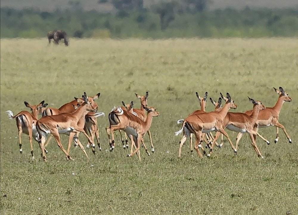 Photograph by Ooi Wei Hoong