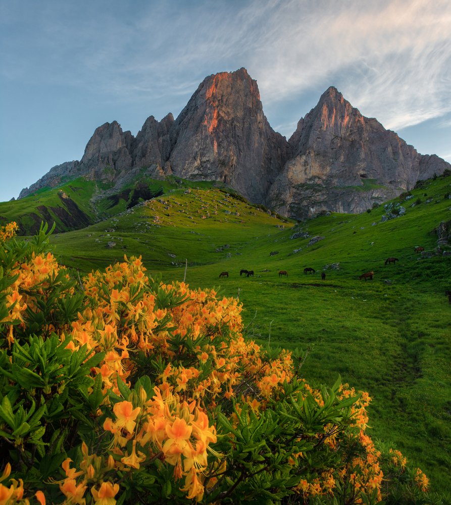 Photograph by Сокол Николай