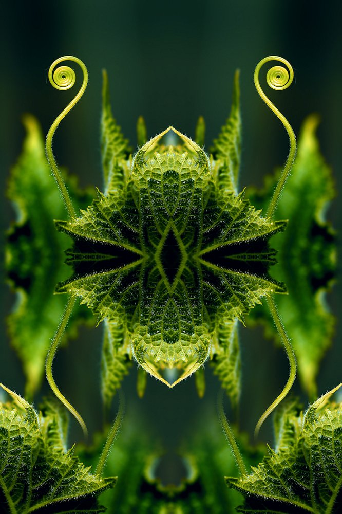 Загадочные закорючки...