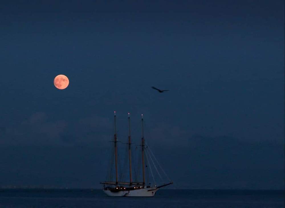 Photograph by Luisa Celli