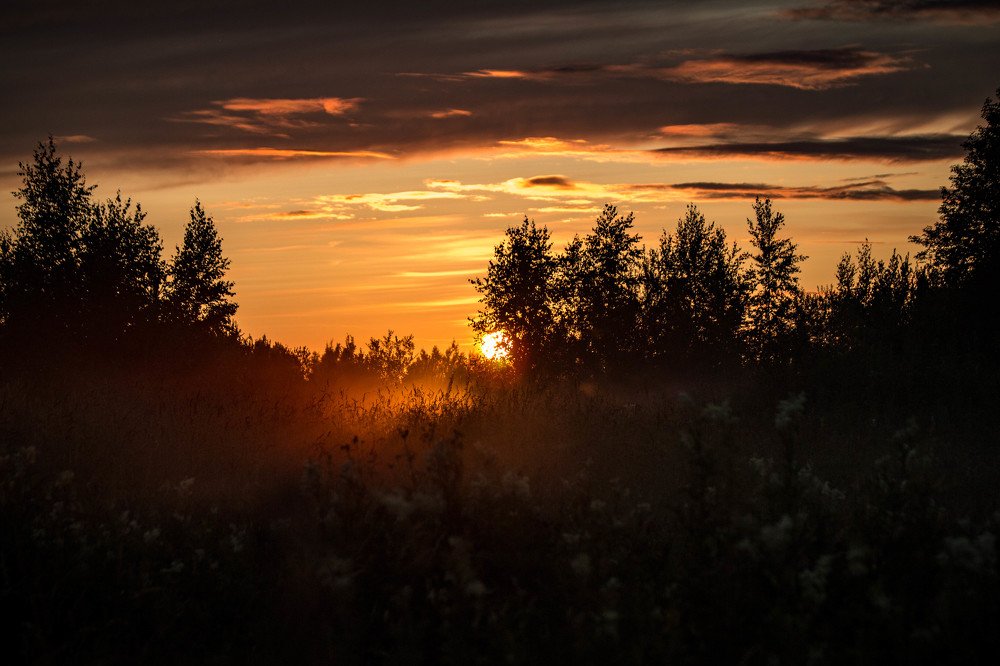 Закат в таволге