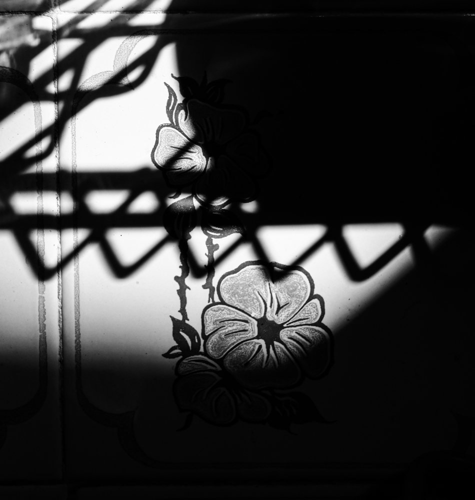 Photograph by Ali Moradi