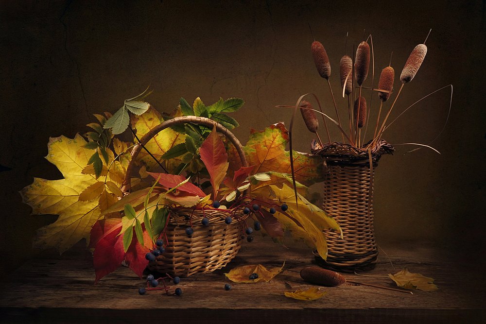 Осенние листья и камыш