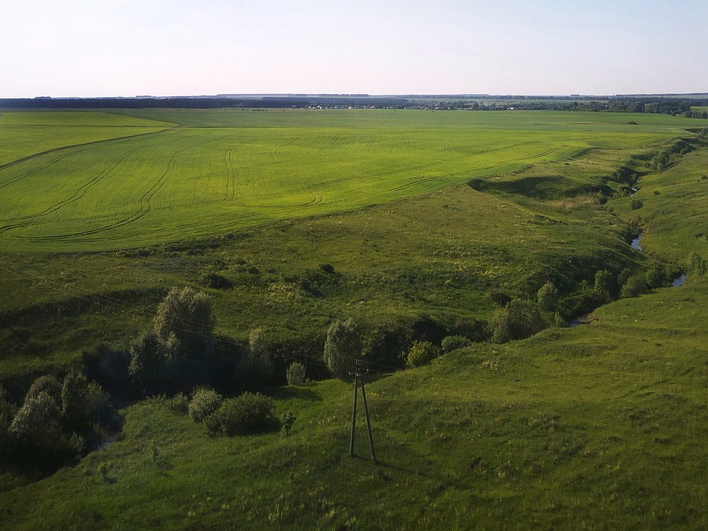 Photograph by Евгения Цой