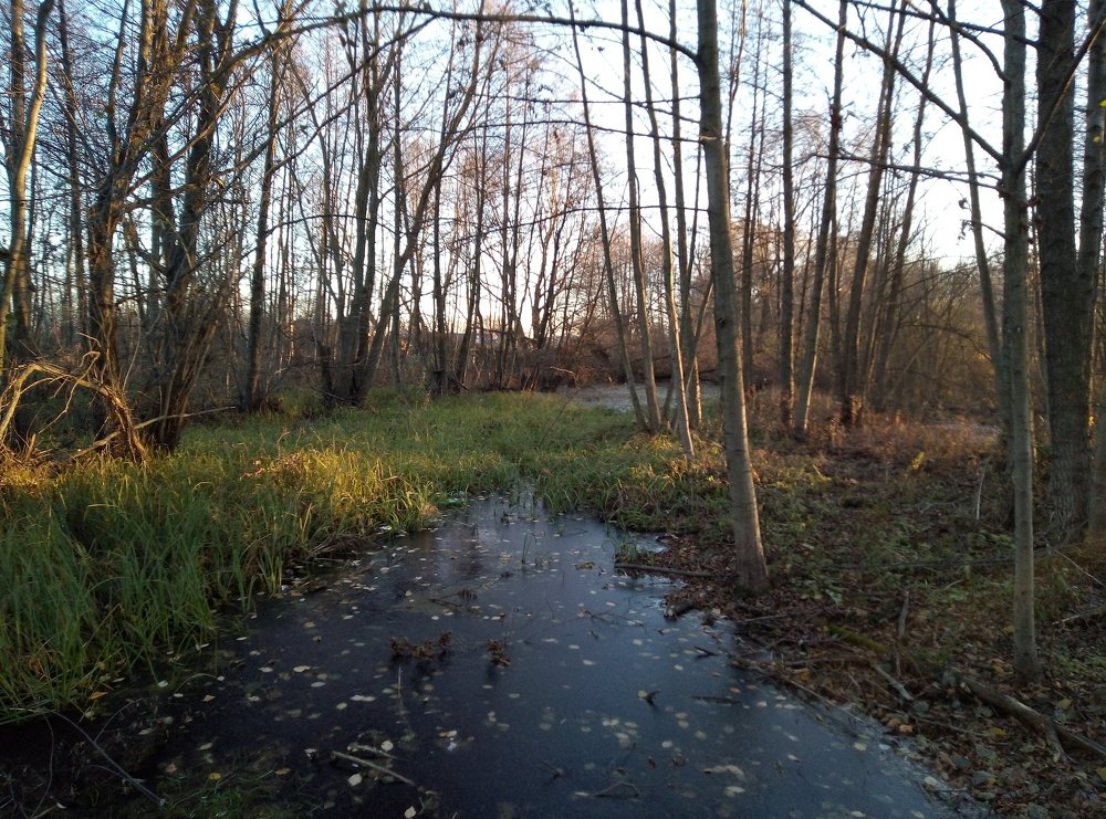 Photo #3944151