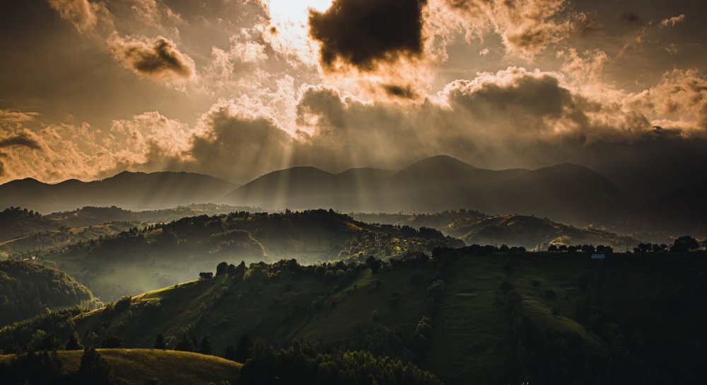 Photograph by Daria Virbanescu