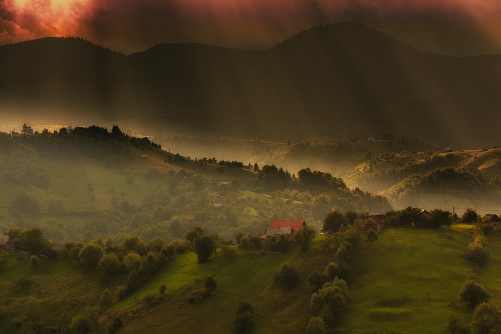 Photograph by Daria Virbanescu